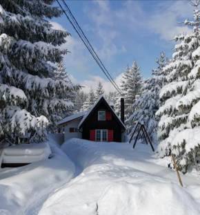 Snowhite Jahorina